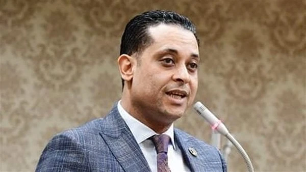 مشروعات النواب: مبادرة «عقول خضراء» خطوة استراتيجية لتمكين شباب الصعيد اقتصاديًا