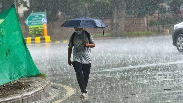 أمطار ورياح.. الأرصاد الجوية تكشف عن حالة الطقس المتوقعة غدا