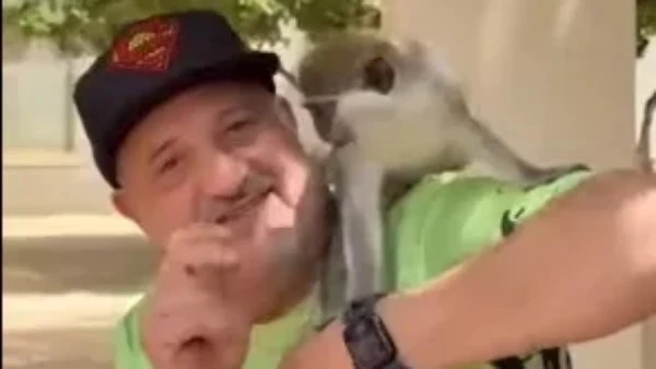 خالد الصاوي يشارك جمهوره فيديو طريفا مع النسناس