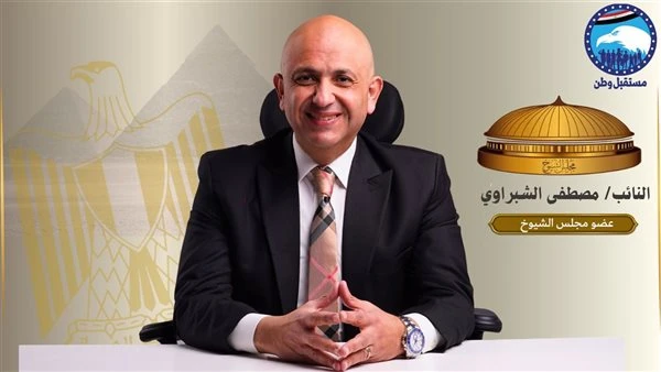 النائب مصطفى الشبراوي: خطة لتوصيل الغاز الطبيعي لأهالي القاهرة ضمن خطة الدولة 2025/2026