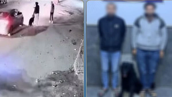 كشف ملابسات فيديو البلطجة في البحيرة.. وضبط المتهمين