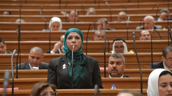 برلمانية: قانون حماية المنافسة ومنع الممارسات الاحتكارية يساهم فى بناء اقتصاد قوى