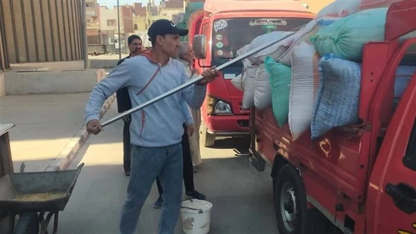محافظ الدقهلية: توريد 3353 طن قمح لمواقع التخزين والصوامع على مستوى المحافظة