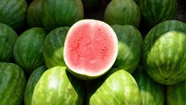 ما مدى سلامة البطيخ الموجود بالأسواق؟.. المتحدث باسم وزارة الزراعة يحسم الجدل
