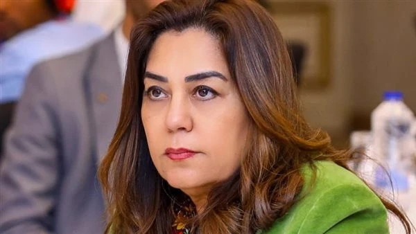 إنتاج الوقود الحيوي من مخلفات المجازر الحيوانيّة وزيوت الطعام المستعملة .. خطة حكومية وشراكة واعدة مع القطاع الخاص