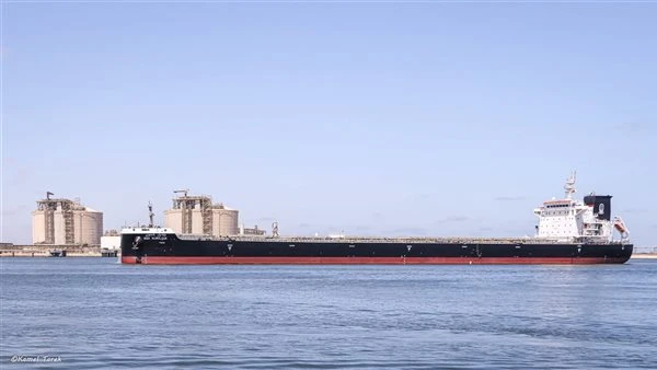 ميناء دمياط يستقبل 63 ألف طن روسي لصالح القطاع العام