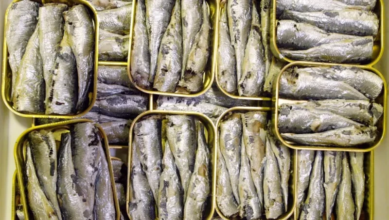 السردين وجبة الفتيات المفضّلة الجديدة… بوتوكس طبيعي للبشرة