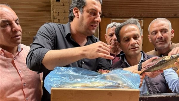 ضبط 500 كيلو رنجة مشتبه بها خلال حملة رقابية مكثفة بالغربية