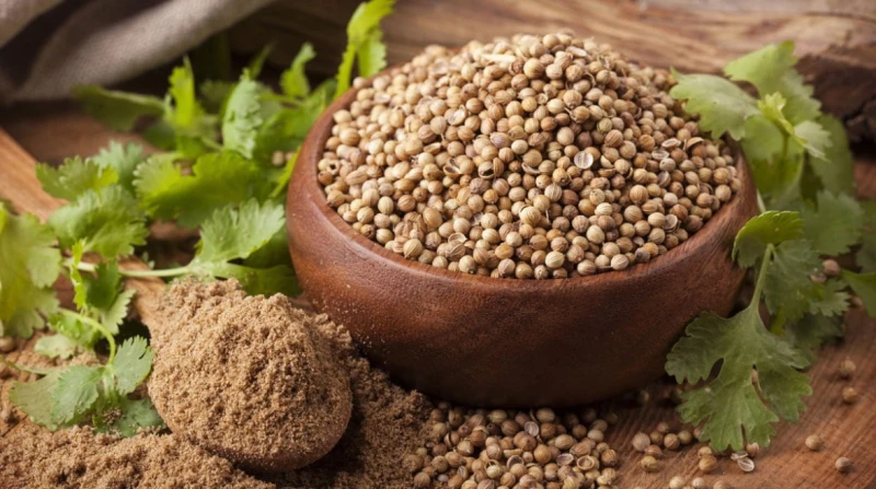 فوائد الكزبرة الناشفة، هل تؤثر على مرضى السكر