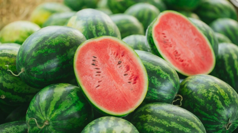 حقيقة وجود سموم وهرمونات في البطيخ. باحثة بـ"البحوث الزراعية" تحسم الجدل