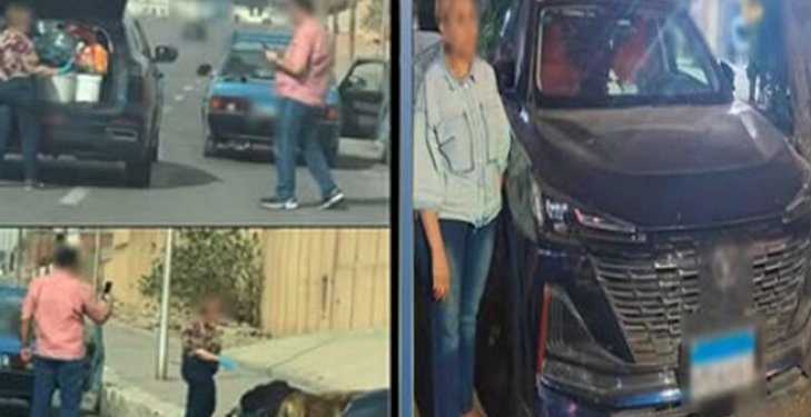 التحقيق مع سيدة ألقت طعاما لكلاب الشوارع