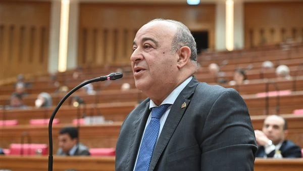 وكيل صحة النواب: الموازنة فقدت دورها التنموي وأصبحت عبئًا ماليًا