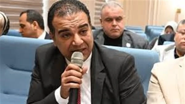 برلماني : تعديلات قانون التأمينات لا تعوض الانخفاض المستمر في القوة الشرائية