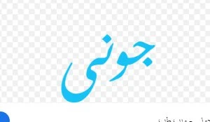 اوعي ترد علي جنة جوني: ده هاكر كبير