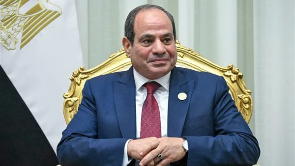 برلمانية : رسائل السيسي تؤكد ثبات الموقف المصري وحماية الأمن القومي العربي