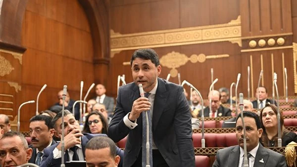 نائب بالشيوخ: منصة ذكية موحدة للاستثمار والتراخيص ضرورة لتبسيط الإجراءات