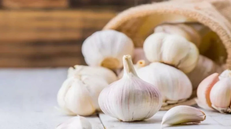 هل الثوم يطرد الذباب؟. دراسة تجيب