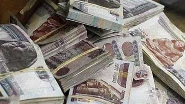 ميزانية البيت في زمن الغلاء: هل الـ 20 ألف جنيه هي المعادلة السحرية للاستقرار؟