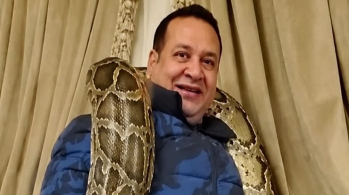 مشاجرة معرض السيارات.. هل هي بداية النهاية لإمبراطورية صبري نخنوخ