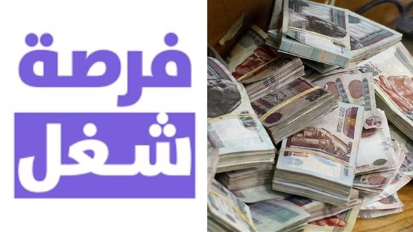 تحليل لنشرات توظيف وزارة العمل: بين حبر الورق وواقع سوق الشغل
