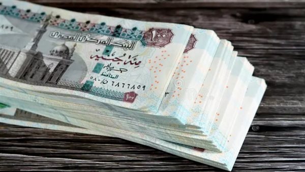 تفاصيل تطبيق قانون العلاوات الجديد ومنحة القطاع العام بحد أدنى 8000 جنيه